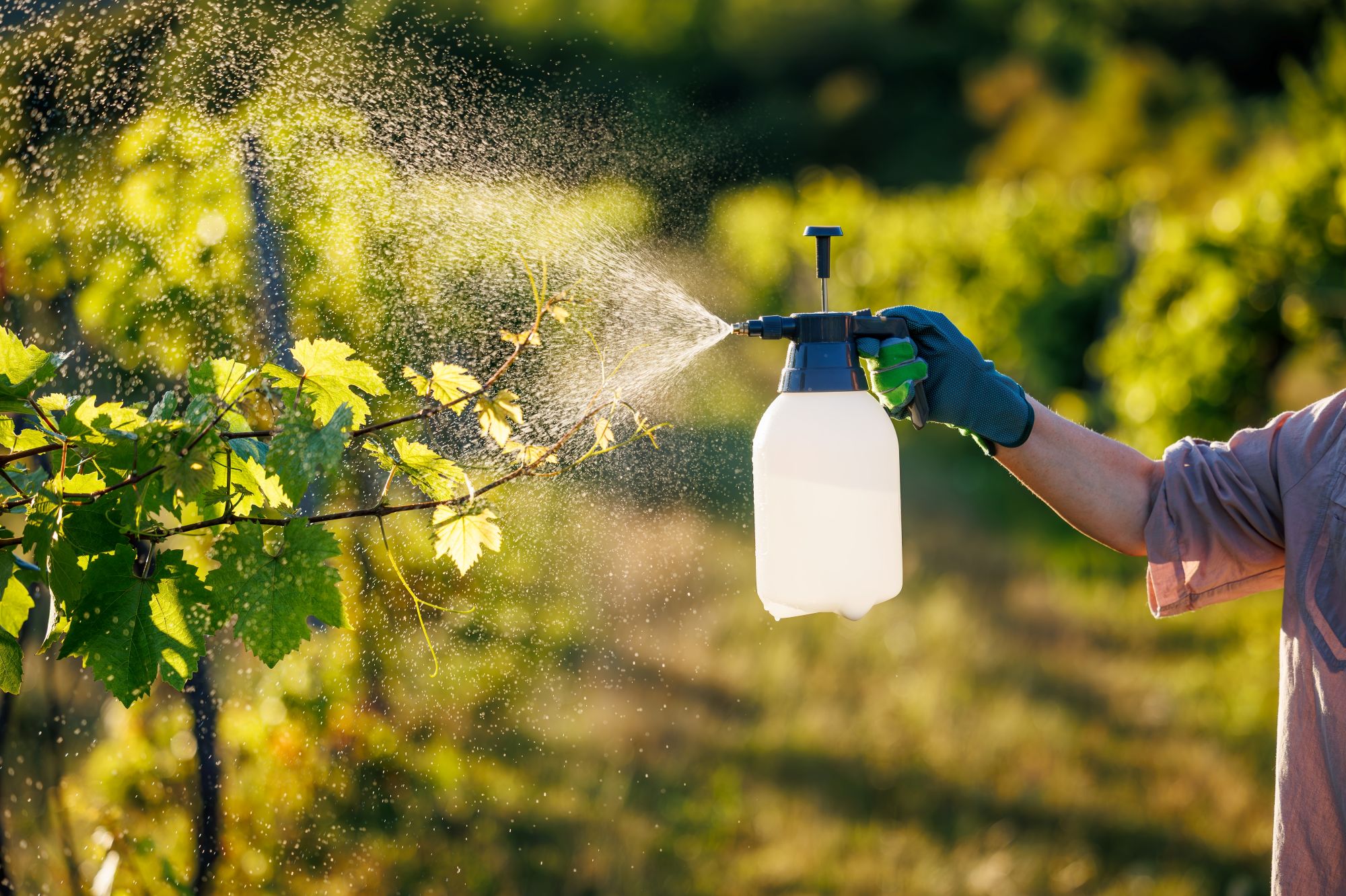 lifetech watersolutions pestizide